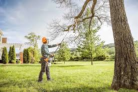 Best Leaf Removal  in Chatham, VA